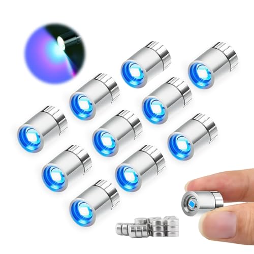 10 Stück Mini LED Licht, Puppenhaus Licht, LED Minilichter, Micro LED Licht mit Batterie, Mini LED Puppenhaus, für Partydekoration DIY Puppenhauszubehör Spielzeug Bausteine Weihnachtsbaum von DIELIANHUA