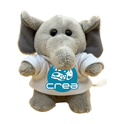 DIGITALSHIRT - Personalisiertes Plüschtier zur Reinigung des PC-Bildschirms, Unterseite der Puppe aus weicher Mikrofaser (zerkratzt den Bildschirm nicht), kleiner Plüschbär, personalisierbar, Höhe 12 von DIGITALSHIRT