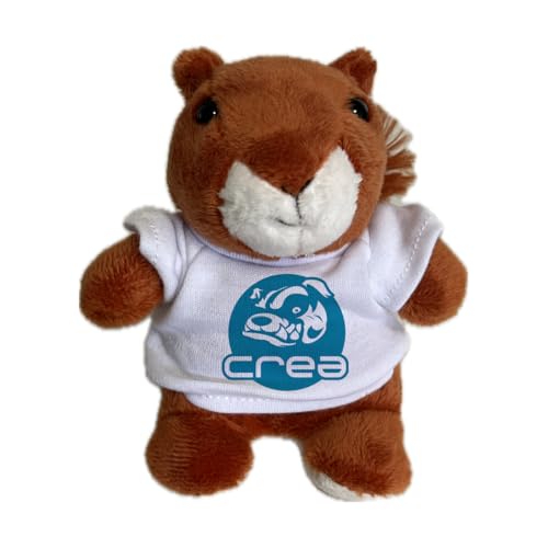 DIGITALSHIRT - Personalisiertes Plüschtier zur Reinigung des PC-Bildschirms, Unterseite der Puppe aus weicher Mikrofaser (zerkratzt den Bildschirm nicht) Kleiner Plüschbär personalisierbar, Höhe 12 cm von DIGITALSHIRT