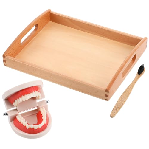 DIKACA 1 Satz Erkennungsspielzeug Kinderbürstenspielzeug Zähne Spielzeugzähne Mundspielzeug Praktisches Lebensspielzeug Vorschulspielzeug Zähnespielzeug Hölzern Zufällige Farbe DIKACA 1 Satz Erkennungsspielzeug Kinderbürstenspielzeug Zähne Spielzeugzähne Mundspielzeug Praktisches Lebensspielzeug Vorschulspielzeug Zähnespielzeug Hölzern Zufällige Farbe von DIKACA