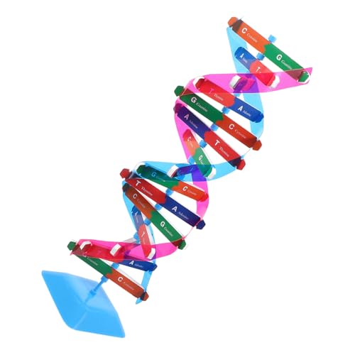 DIKACA 1 Satz Wissenschaftliches Molekularmodell Werkzeug Schaufensterpuppe Bildungs-DNA-Modell Wissenschaftliches Lernspielzeug Komponenten DNA-wissenschaftsmodell DNA-lehrmittel Metall von DIKACA