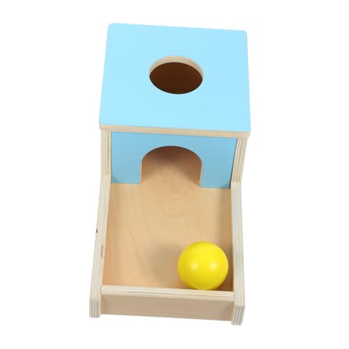 DIKACA 1 Set-Box Kinderkognitionsspielzeug Kinderspielzeug Ball Motor Skills Toy Holzkindspielzeug sensorische Spielzeuge Frühes Lernen Sky-Blue von DIKACA