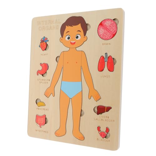 DIKACA 1 Set Holzspielzeug Körper Organe Puzzle Für Frühlernpuzzle Zur Erkennung Menschlicher Körperteile Montessori Für Jungen Und ädchen DIKACA 1 Set Holzspielzeug Körper Organe Puzzle Für Frühlernpuzzle Zur Erkennung Menschlicher Körperteile Montessori Für Jungen Und ädchen von DIKACA