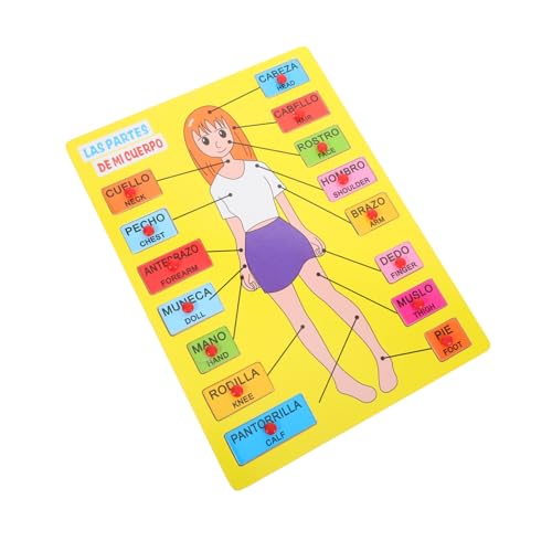 DIKACA 1 Set Körperteil Puzzle Für Vorschulkinder Kleinkinder Pädagogische Puzzles Anatomie Für Menschliche Körperorgane Puzzle Zur Erkennung des Menschlichen Körpers von DIKACA