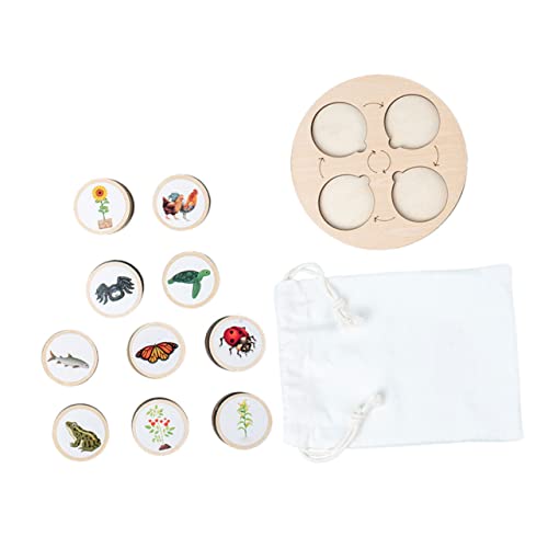 DIKACA 1 Set Lebenszyklus Spielzeugmodelle Tier Kognitives Hölzernes Lebenszyklusmodell Hölzerne Zyklusfigur Holzspielzeug Wachstumszyklusmodell Hölzernes Zyklusmodell Lernspielzeug von DIKACA