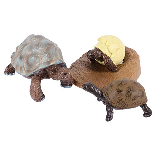 DIKACA 1 Wachstumszyklus Der Schildkröte Lebenszyklus-Statue Wachstumszyklus Kinderspielzeug Tierfiguren Lebenszyklus-Ornamente Lebenszyklusfiguren Wachstumszyklusfiguren Plastik DIKACA 1 Wachstumszyklus Der Schildkröte Lebenszyklus-Statue Wachstumszyklus Kinderspielzeug Tierfiguren Lebenszyklus-Ornamente Lebenszyklusfiguren Wachstumszyklusfiguren Plastik von DIKACA