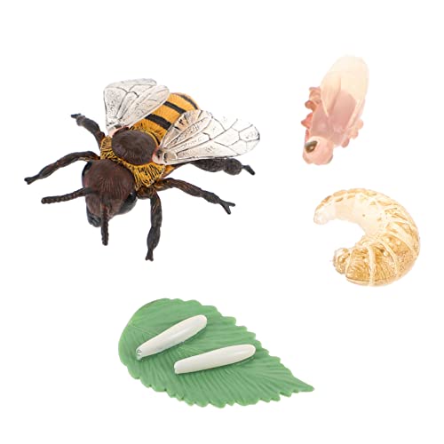 DIKACA 1Satz Künstlicher Insektenmodelle Honigbiene Figur Pädagogisches Wachstumsmodell Für Realistisches Insektenstreichspielzeug Zur des Lernens DIKACA 1Satz Künstlicher Insektenmodelle Honigbiene Figur Pädagogisches Wachstumsmodell Für Realistisches Insektenstreichspielzeug Zur des Lernens von DIKACA