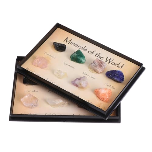 DIKACA 2 Boxen Erz proben rohsteine Schmucksteine Edelstein Dekoration Geschenkidee Kreatives Ornament Erzproben einfache Erzsteine neuartige Mineralproben Lehrmaterial grobe Erze DIKACA 2 Boxen Erz proben rohsteine Schmucksteine Edelstein Dekoration Geschenkidee Kreatives Ornament Erzproben einfache Erzsteine neuartige Mineralproben Lehrmaterial grobe Erze von DIKACA