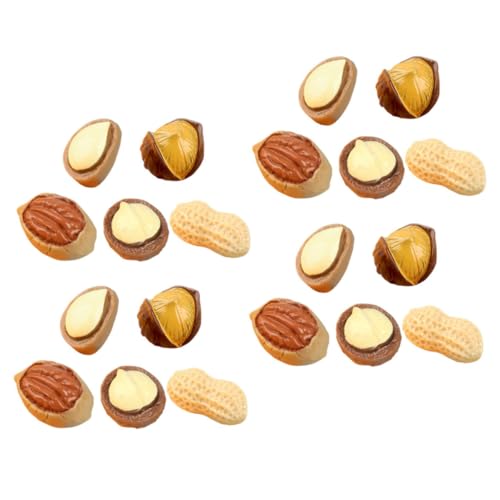 DIKACA 20 Stück Simuliertes Nuss-Snack- Mini Simulationsnüsse Kleines Nussmodell Puppenhaus Lebensmittelmodell Winziges Essen Nuss-Food-Foto-Requisite Puppenessen Harz von DIKACA