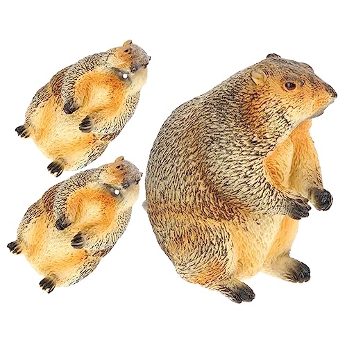 DIKACA 3Stücke Kleine Erdmännchen Kognitive Dekoration Für Garten Und Lernspielzeug Realistisches Wildtiermodell Für Dekoration DIKACA 3Stücke Kleine Erdmännchen Kognitive Dekoration Für Garten Und Lernspielzeug Realistisches Wildtiermodell Für Dekoration von DIKACA