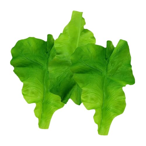 DIKACA 3st Salatblattmodell Künstliche Blumen Simulation Salatblatt Simulation Grüner Pflanzen Simulation Essen Lebensechtes Grünes Gemüse Simuliertes Gemüse Plastik Green DIKACA 3st Salatblattmodell Künstliche Blumen Simulation Salatblatt Simulation Grüner Pflanzen Simulation Essen Lebensechtes Grünes Gemüse Simuliertes Gemüse Plastik Green von DIKACA