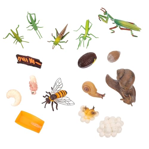 DIKACA Spielzeuge 4 Sätze Insektenmodell Wachstumszyklus von Insekten kognitives Spielzeug Lernen Modelle Insektenevolutionsmodell Insektenfigurenmodell Mini einstellen Plastik von DIKACA