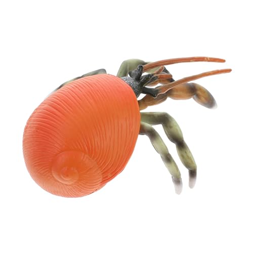 DIKACA Einsiedlerkrebs-Modell realistisches Tiermodell Simulation Meerestiermodell für kinderspielzeug anschauliches Tiermodell realistisches einsiedlerkrebsmodell rot DIKACA Einsiedlerkrebs-Modell realistisches Tiermodell Simulation Meerestiermodell für kinderspielzeug anschauliches Tiermodell realistisches einsiedlerkrebsmodell rot von DIKACA