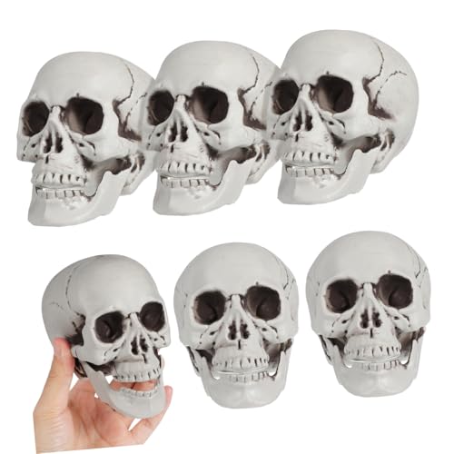 DIKACA Halloween Künstliche Schädel Deko Für Gruselige Partys Realistische Schädel Ornament Für Spukhaus Dekoration Halloween Schädel Requisiten Party Zubehör DIKACA Halloween Künstliche Schädel Deko Für Gruselige Partys Realistische Schädel Ornament Für Spukhaus Dekoration Halloween Schädel Requisiten Party Zubehör von DIKACA