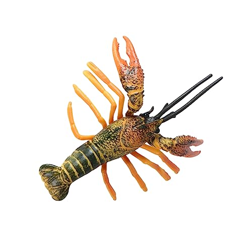 DIKACA Hummer-Modell Meerestiere Animals Toys for kinderzimmer zubehör Tier Sammlung zabawki stymulujące rozwój Hummer- einzigartiges Hummermodell Plastik Green von DIKACA