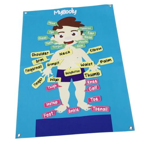 DIKACA Menschliche Körperstrukturplatte Vorschul-lerntafel Aus Filz Interaktives Bodyboard Für Filz-aktivitätstafel Für Das Klassenzimmer Filzbrett Für Körperteile Gefühlt von DIKACA