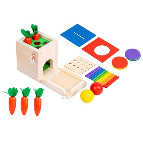 DIKACA Montessori 4 1 Multifunktionales ünzspielzeug Aus Für Lustiges Lernspielzeug Zur Farbpaarung Und Sensorischen Entwicklung Für Babys Und Kleinkinder Ab 1 Jahr von DIKACA