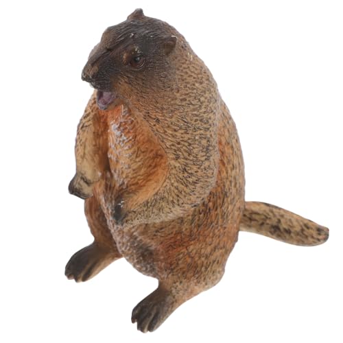 DIKACA Murmeltier Modell Babyspielzeug Schreibtischdekoration Künstliches Tier Murmeltier Figur Murmeltier Gefälschtes Tier Murmeltier Tierdekor Tiermodell DIKACA Murmeltier Modell Babyspielzeug Schreibtischdekoration Künstliches Tier Murmeltier Figur Murmeltier Gefälschtes Tier Murmeltier Tierdekor Tiermodell von DIKACA