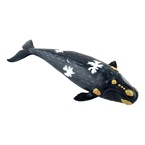 DIKACA -Rechter Wal für kindergeschenke Animal Toys für -Jährige Tier Tierspielzeug Figur Richtiges Walspielzeug Black DIKACA -Rechter Wal für kindergeschenke Animal Toys für -Jährige Tier Tierspielzeug Figur Richtiges Walspielzeug Black von DIKACA