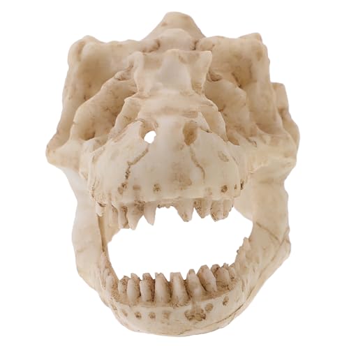 DIKACA Resin Dinosaurier Schädel Modell aus Langlebigem Detailgetreu und Realistisch als Dekoratives Terrarium Accessoire und für Dinosaurier Fans Kleine Tyrannosaurus Replik für Büro DIKACA Resin Dinosaurier Schädel Modell aus Langlebigem Detailgetreu und Realistisch als Dekoratives Terrarium Accessoire und für Dinosaurier Fans Kleine Tyrannosaurus Replik für Büro von DIKACA