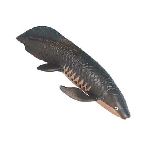 DIKACA Simulierter Arapaima Spielzeuge Miniaturfisch Ornament Simulation Fischverzierung Ozeanmodell Spielzeug Minifiguren Simulation Von Fischmodellen Fest Gefälschtes Tier Plastik von DIKACA
