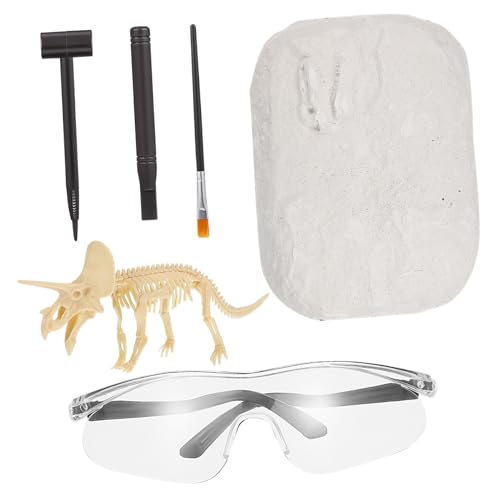 DIKACA bastelset basteln für spielsachen für bastelmaterial für bastelzeug für Dinosaurier und Modell Dinosaurier-Kit Grabsets Plastik von DIKACA