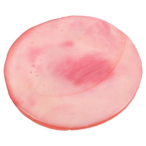 DIKACA gefälschtes Essen Fleisch gefälschter Fisch Simulation Lebensmittelmodell tischdeko esstisch Kunstliche Lebensmittelmodelle Kochspielzeug gefälschte Lebensmittel realistisch PVC DIKACA gefälschtes Essen Fleisch gefälschter Fisch Simulation Lebensmittelmodell tischdeko esstisch Kunstliche Lebensmittelmodelle Kochspielzeug gefälschte Lebensmittel realistisch PVC von DIKACA