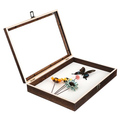 DINHEAROM Insekten Displaybox mit Deckel Vintage Holzkasten Staubdicht für Sammlungen von Schmetterlingen Anderen Insekten DINHEAROM Insekten Displaybox mit Deckel Vintage Holzkasten Staubdicht für Sammlungen von Schmetterlingen Anderen Insekten von DINHEAROM