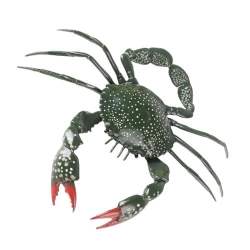 DINSOAVR Sammlerkrabben Mit Spielset Detaillierte Wildtierfiguren Für Einfallsreiche Spiele Jungen Und Mädchen Home Decoration Ornament DINSOAVR Sammlerkrabben Mit Spielset Detaillierte Wildtierfiguren Für Einfallsreiche Spiele Jungen Und Mädchen Home Decoration Ornament von DINSOAVR
