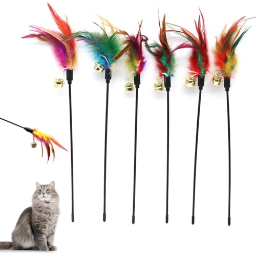 DIXIOUJAI 6 Stück Katzen-Federstab-Spielzeug, Katzenfarbe variiert, Feder-Teaser-Übungsstab, Bunte Federn, Glockenspielzeug für Katzen und Kätzchen DIXIOUJAI 6 Stück Katzen-Federstab-Spielzeug, Katzenfarbe variiert, Feder-Teaser-Übungsstab, Bunte Federn, Glockenspielzeug für Katzen und Kätzchen von DIXIOUJAI