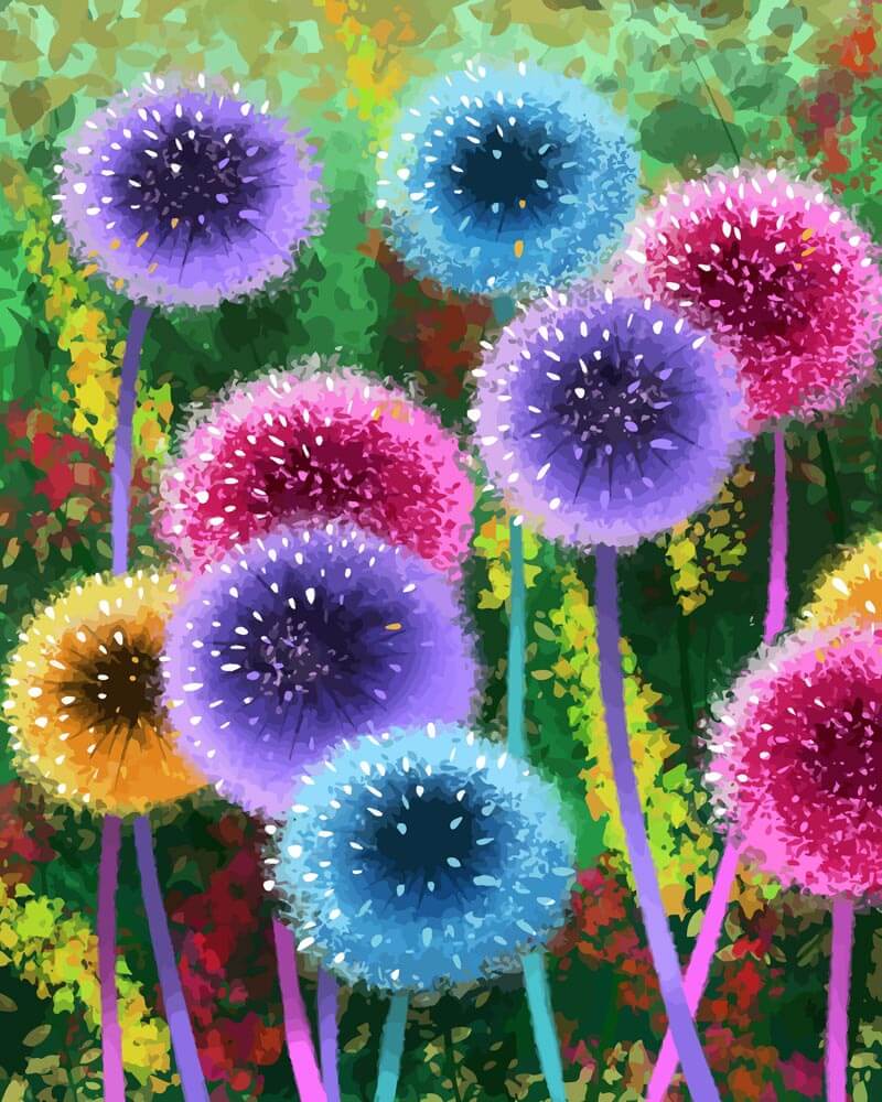 Malen nach Zahlen - Bunte Pusteblumen, ohne Rahmen Malen nach Zahlen - Bunte Pusteblumen, ohne Rahmen von DIY - Malen nach Zahlen