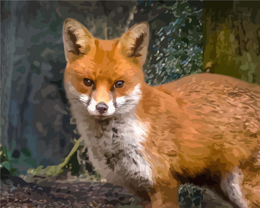 Malen nach Zahlen - Der Fuchs, ohne Rahmen von DIY - Malen nach Zahlen