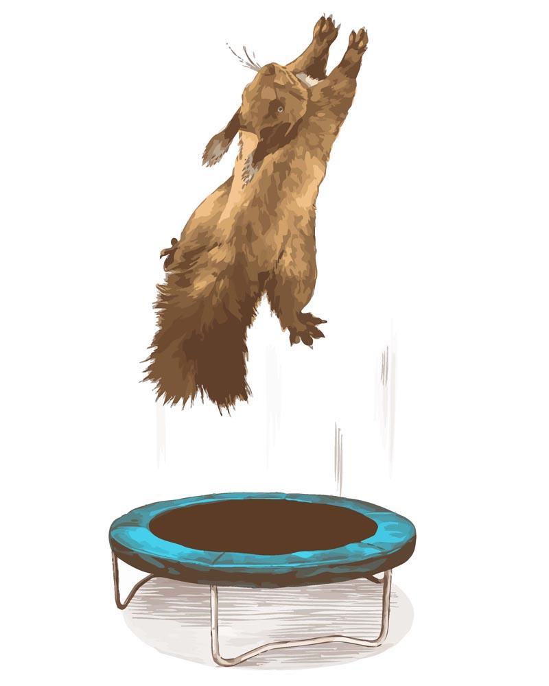 Malen nach Zahlen - Eichhörnchen auf dem Trampolin, mit Rahmen von DIY - Malen nach Zahlen