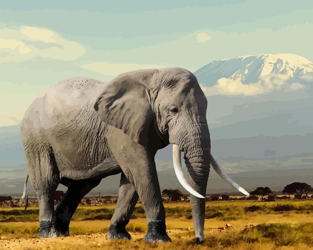 Malen nach Zahlen - Elefant in den Bergen, mit Rahmen Malen nach Zahlen - Elefant in den Bergen, mit Rahmen von DIY - Malen nach Zahlen