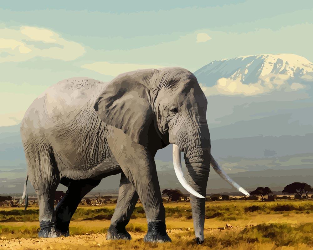 Malen nach Zahlen - Elefant in den Bergen, ohne Rahmen von DIY - Malen nach Zahlen