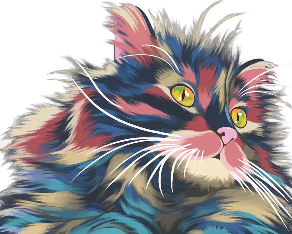 Malen nach Zahlen - Erstaunte Katze, ohne Rahmen von DIY - Malen nach Zahlen