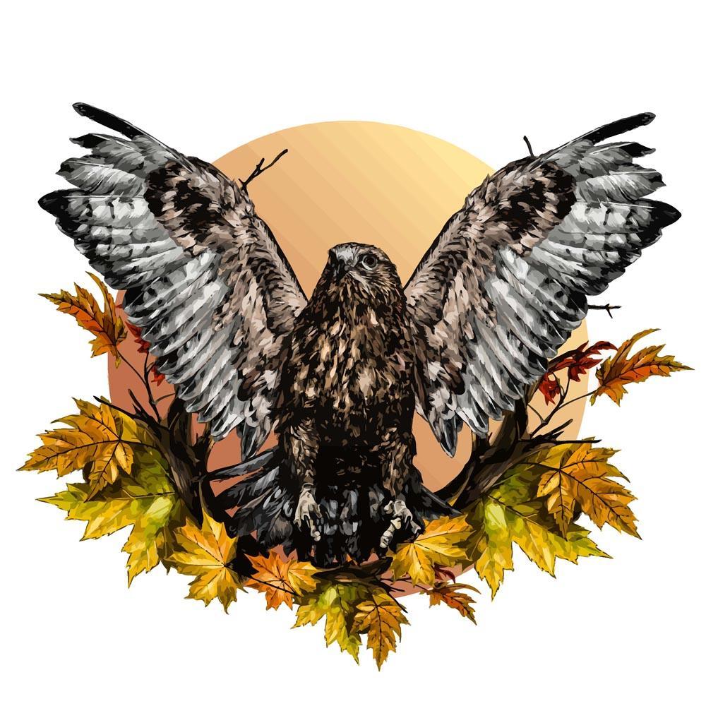 Malen nach Zahlen - Falke in Herbstblätter, mit Rahmen von DIY - Malen nach Zahlen