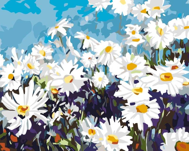 Malen nach Zahlen - Gänseblumenfeld, mit Rahmen von DIY - Malen nach Zahlen