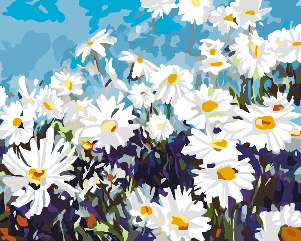 Malen nach Zahlen - Gänseblumenfeld, ohne Rahmen Malen nach Zahlen - Gänseblumenfeld, ohne Rahmen von DIY - Malen nach Zahlen