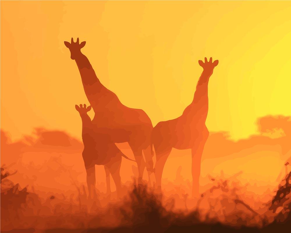 Malen nach Zahlen - Giraffenfamilie in der Natur, mit Rahmen von DIY - Malen nach Zahlen