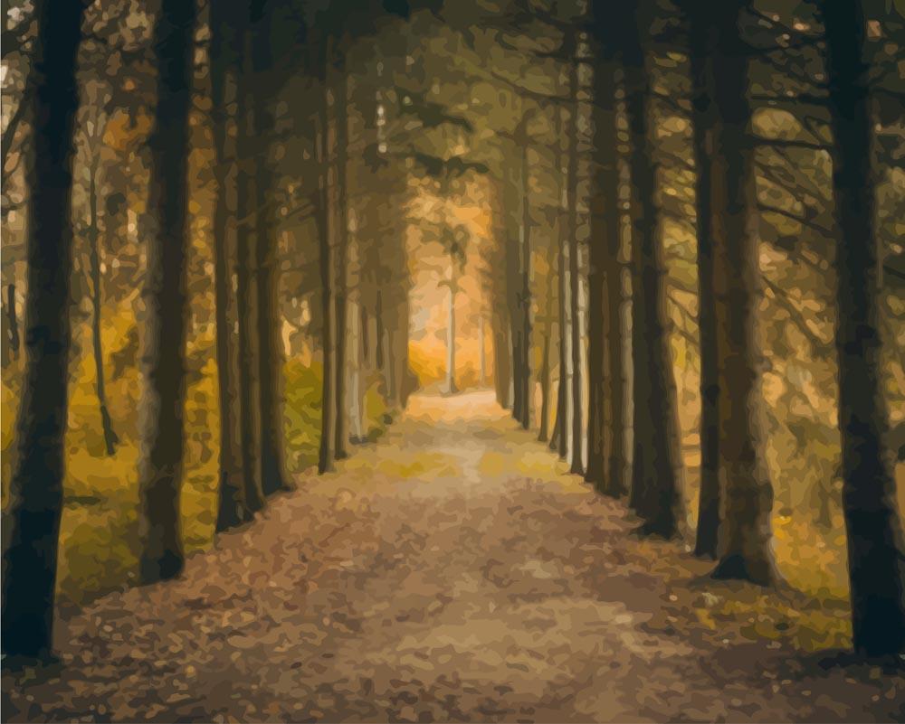 Malen nach Zahlen - Herbst Perspektive im Wald, mit Rahmen Malen nach Zahlen - Herbst Perspektive im Wald, mit Rahmen von DIY - Malen nach Zahlen