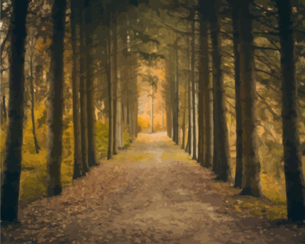 Malen nach Zahlen - Herbst Perspektive im Wald, mit Rahmen von DIY - Malen nach Zahlen