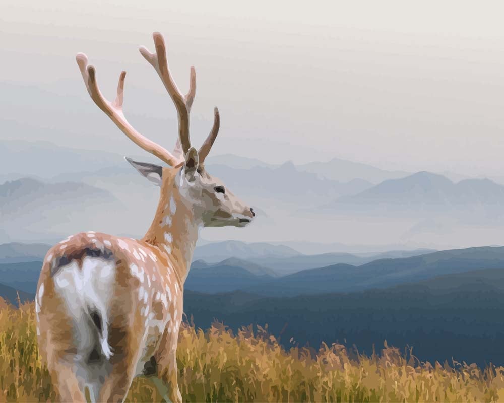 Malen nach Zahlen - Hirsch am Berg, mit Rahmen Malen nach Zahlen - Hirsch am Berg, mit Rahmen von DIY - Malen nach Zahlen