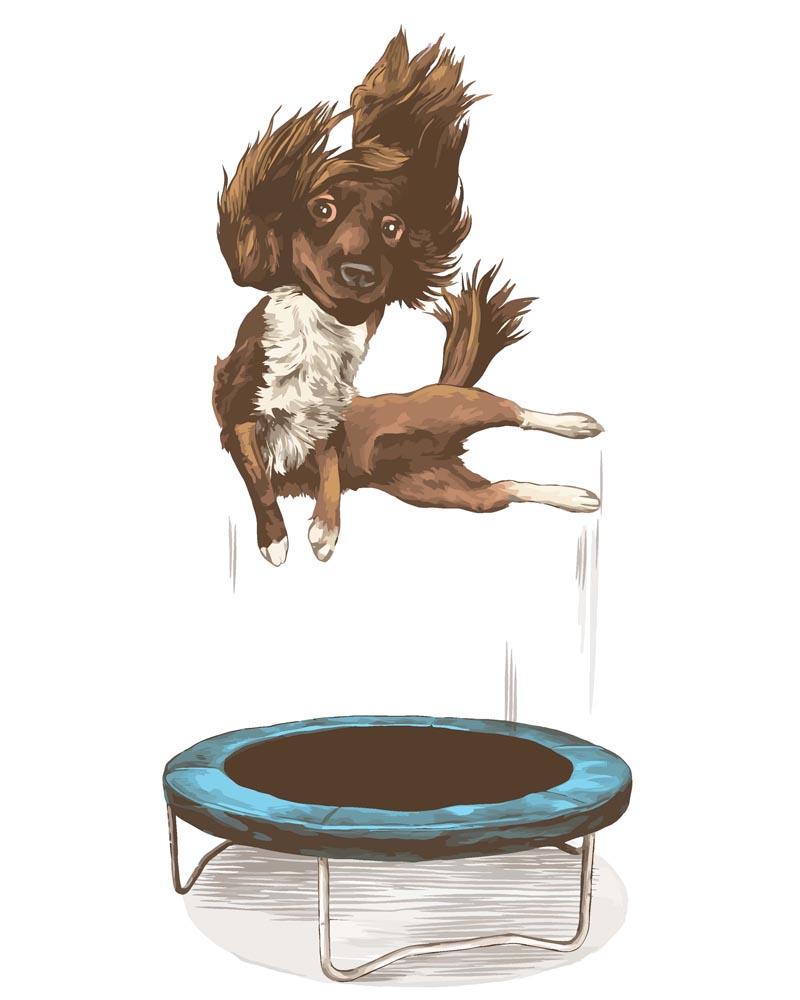Malen nach Zahlen - Hund auf dem Trampolin, ohne Rahmen Malen nach Zahlen - Hund auf dem Trampolin, ohne Rahmen von DIY - Malen nach Zahlen