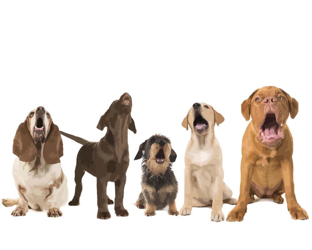 Malen nach Zahlen - Hundegruppe am Jaulen, mit Rahmen Malen nach Zahlen - Hundegruppe am Jaulen, mit Rahmen von DIY - Malen nach Zahlen