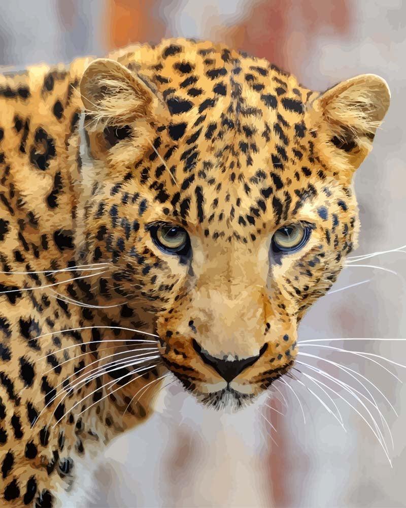 Malen nach Zahlen - Junger Leopard, ohne Rahmen von DIY - Malen nach Zahlen