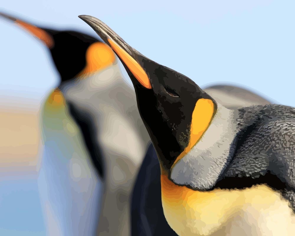 Malen nach Zahlen - Königspinguine, ohne Rahmen Malen nach Zahlen - Königspinguine, ohne Rahmen von DIY - Malen nach Zahlen