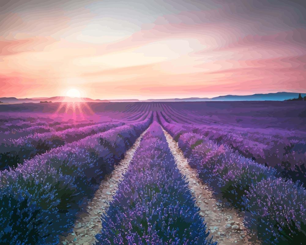 Malen nach Zahlen - Lavendel Blumenfeld, mit Rahmen Malen nach Zahlen - Lavendel Blumenfeld, mit Rahmen von DIY - Malen nach Zahlen