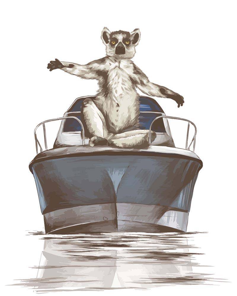 Malen nach Zahlen - Lemur auf dem Boot, mit Rahmen von DIY - Malen nach Zahlen