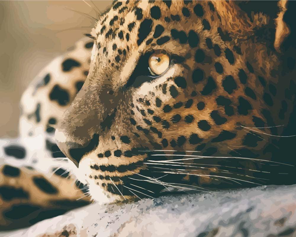 Malen nach Zahlen - Leopardengesicht, ohne Rahmen Malen nach Zahlen - Leopardengesicht, ohne Rahmen von DIY - Malen nach Zahlen